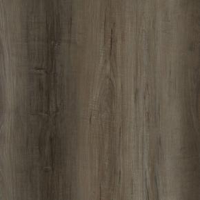 LQ6255-Maple